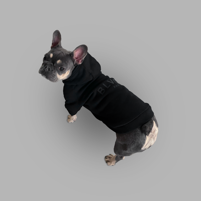 Blvck Pet Hoodie