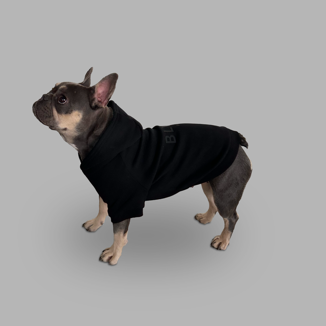 Blvck Pet Hoodie